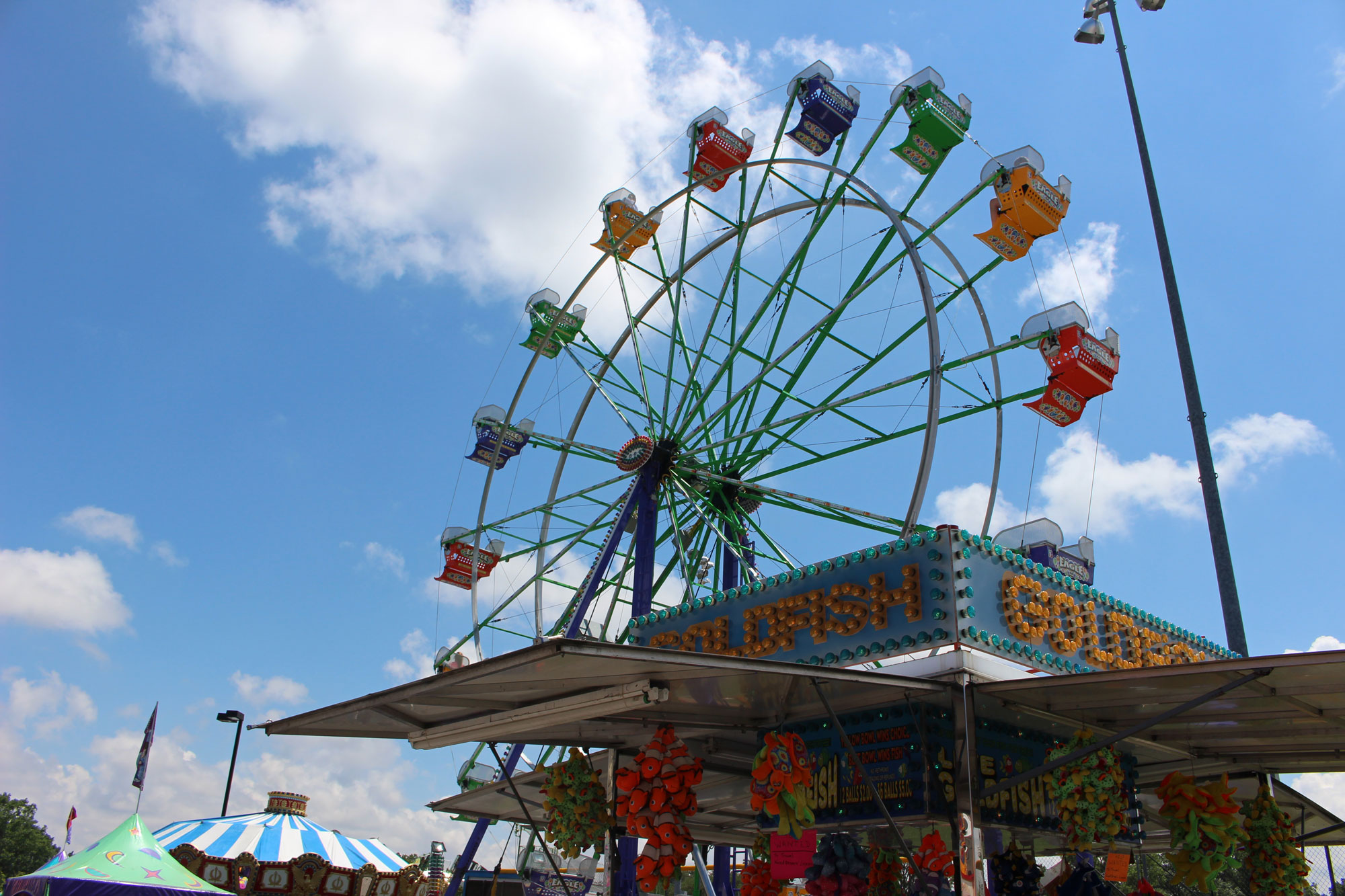 Tips and Reminders for Summerfest 2023 Fairview Park Summerfest